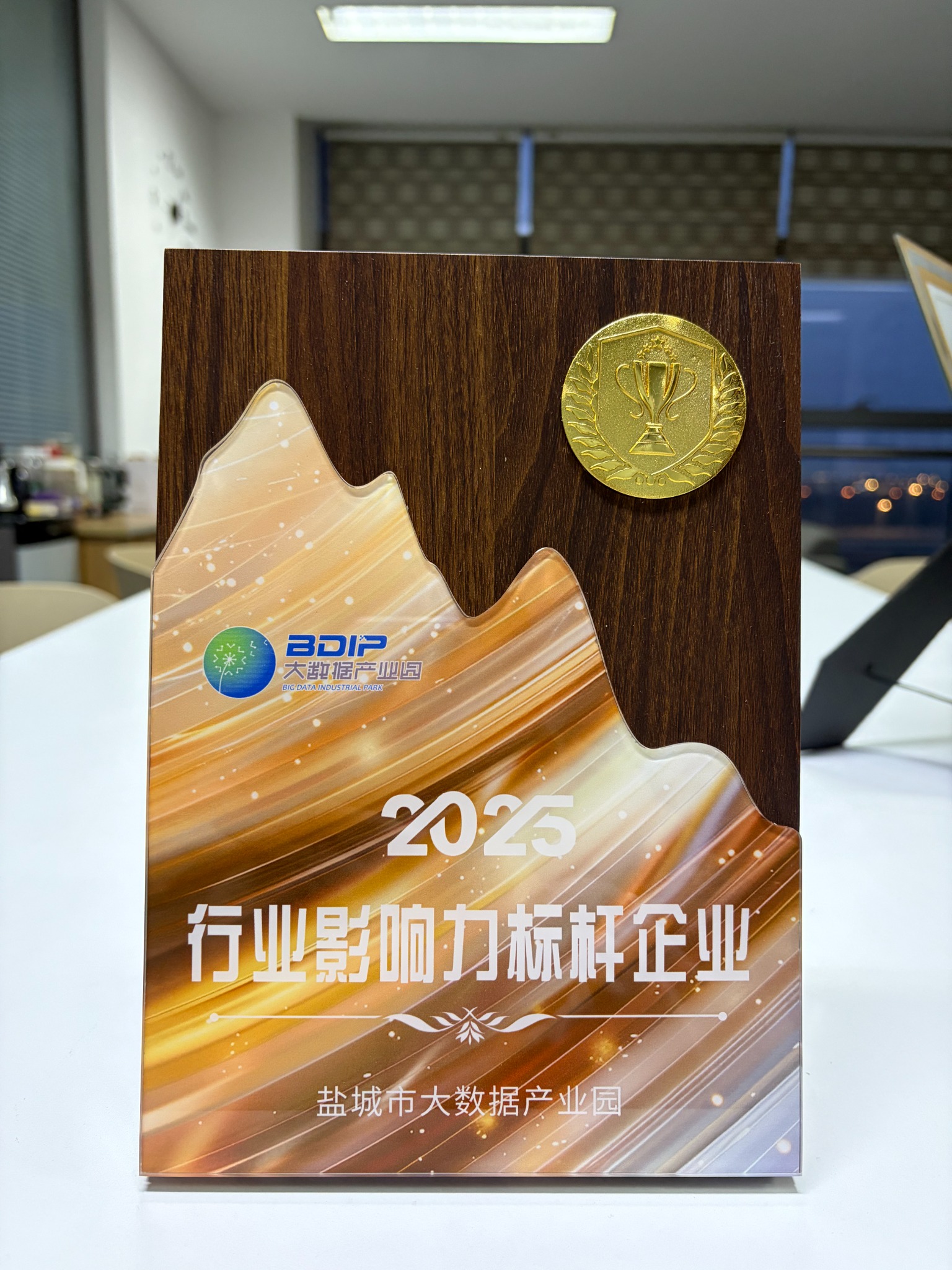 行业影响力标杆企业荣誉