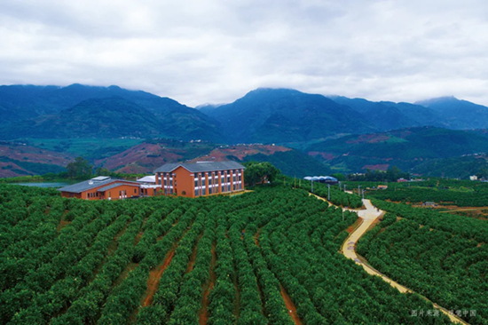 ����ơ��ǿ��������ϼ��Ŵ����ǻ�ũҵ���