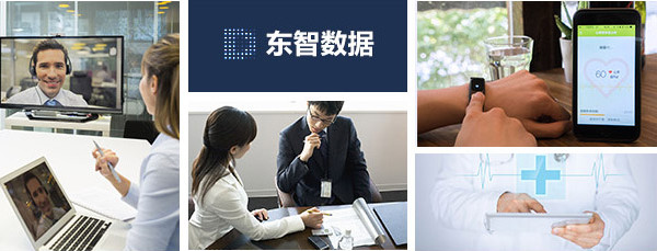 江苏东智数据技术股份有限公司