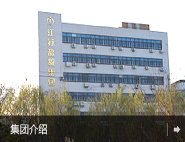 盐粮控股集团